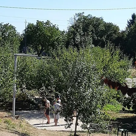 Kwatera prywatna Chambre A La Valette *